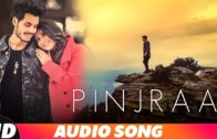 Pinjra (Full Audio) | Gurnazar | Jaani | New Punjabi Songs Video 2018.