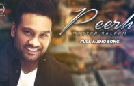 Peerh | Master Saleem | Audio | New Punjabi Song 2016