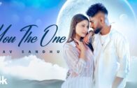 YOU THE ONE (Official Video) | Nav Sandhu | Khushi Verma | Latest Punjabi Songs 2024