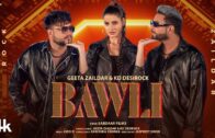 BAWLI (Official Video) | Geeta Zaildar | KD Desirock | Latest Punjabi Songs 2024