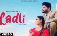 Ladli (Official Video) | Gill Armaan | Trusty | New Punjabi Song 2024 | Latest Romantic Love Songs