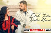 New Punjabi Songs 2024 | Dil Jeha Nahi Manda ( Official Video ) Gulab Sidhu | Diamond | Kiran Brar