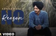 No Reason (Official Video) | Ashish Deol | New Punjabi Song 2024 | Latest Punjabi Songs 2024