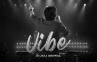 Vibe Song | Dilraj Grewal | New Punjabi Song 2024 Latest This Week | Elevate EP | New Song