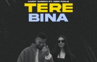 Tere Bina – Garry Sandhu ft Miss Pooja | New Punjabi Video Song 2024
